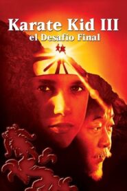 Karate Kid III: El desafío final: 60FPS x265