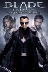Blade: Trinity: 60FPS