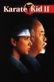 Karate Kid II: La Historia Continúa: 60FPS x265