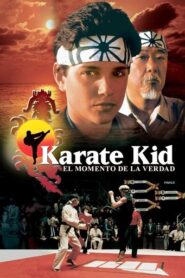 Karate Kid: 60FPS x265