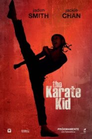Karate Kid: 60FPS x265