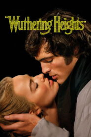 “Cumbres Borrascosas”: 60FPS